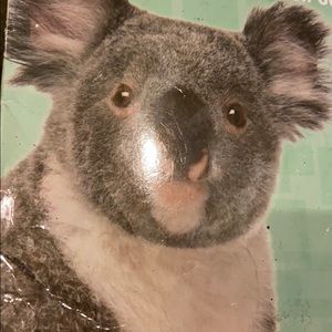 Meet your Posher, Sanchez